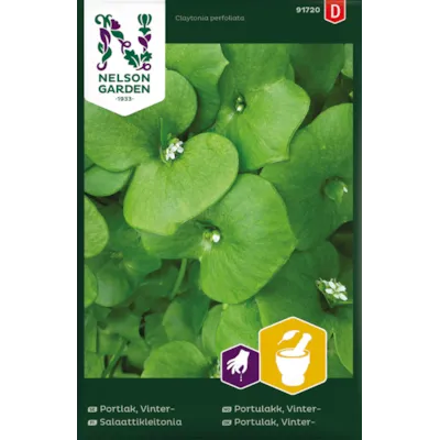 Frø vinterportulakk