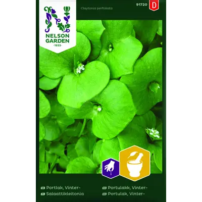 Frø vinterportulakk