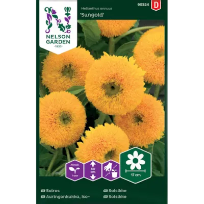 Frø solsikke Sungold