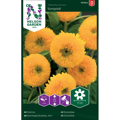 Frø solsikke Sungold