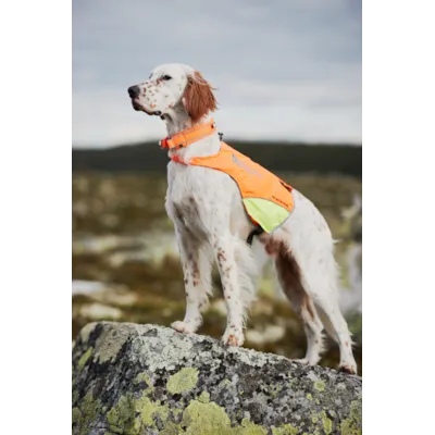 Jaktdekken Protector Cover oransje/gul, bilde 4