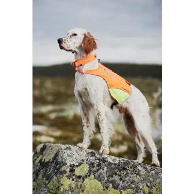 Jaktdekken Protector Cover oransje/gul, bilde 4