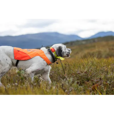 Jaktdekken Protector Cover oransje/gul, bilde 8