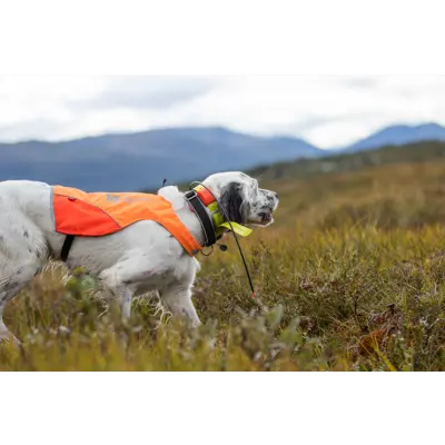 Jaktdekken Protector Cover oransje/gul, bilde 8