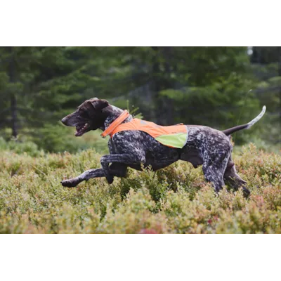 Jaktdekken Protector Cover oransje/gul, bilde 5