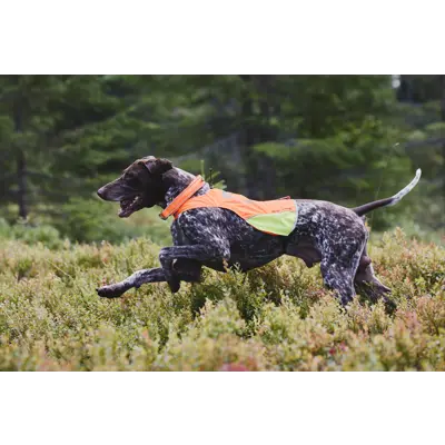 Jaktdekken Protector Cover oransje/gul, bilde 5