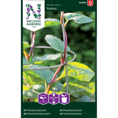 Frø malabarspinat Rubra