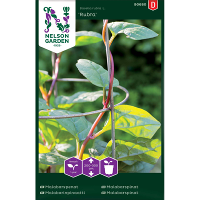 Frø malabarspinat Rubra