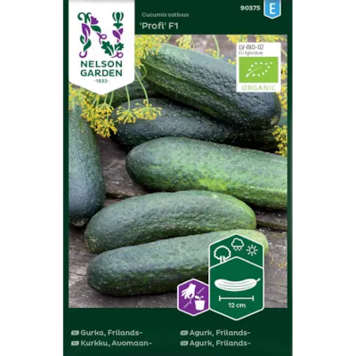 Frø frilandsagurk Profi økologisk