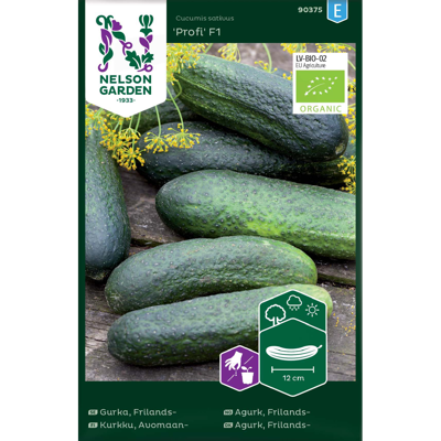 Frø frilandsagurk Profi økologisk