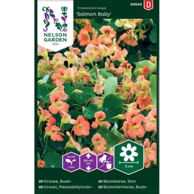 Frø blomkarse Salomon Baby