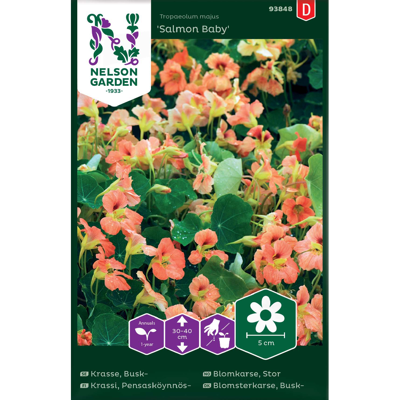 Frø blomkarse Salomon Baby