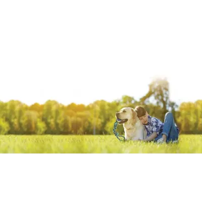 Hundeleke tau med ball, bilde 3