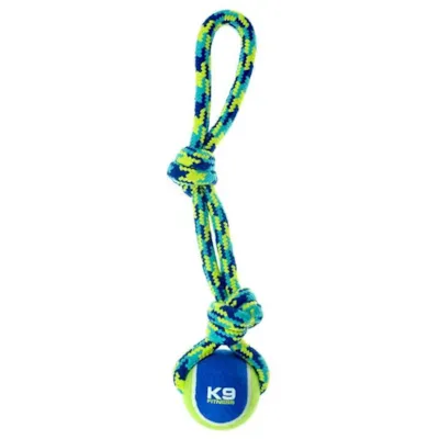 Hundeleke tau med ball