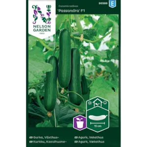 Frø slangeagurk Passandra