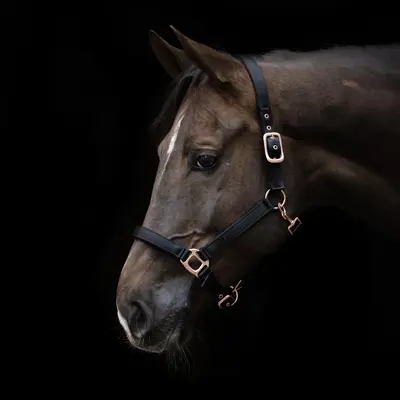 Grime Satin svart, bilde 2