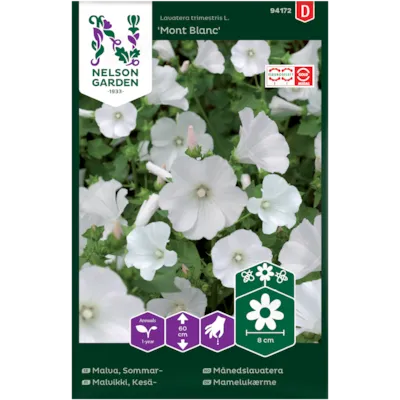 Frø månedslavatera Mont Blanc