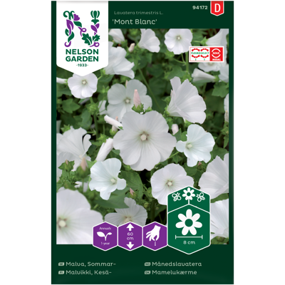 Frø månedslavatera Mont Blanc