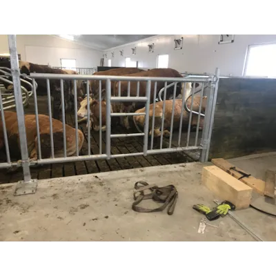 Skillegitter, bilde 2