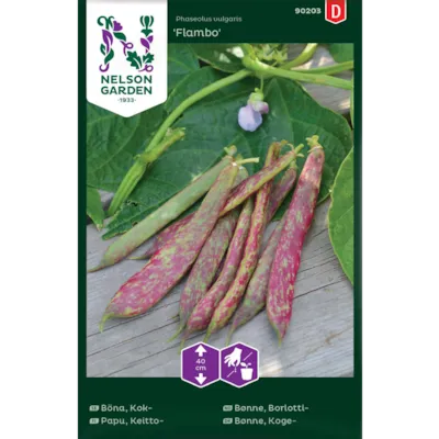 Frø borlottibønne Flambo