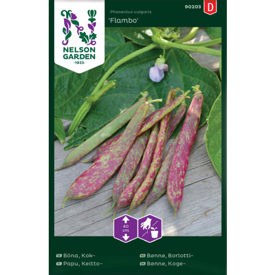 Frø borlottibønne Flambo