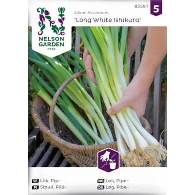 Frø pipeløk Long White Ishikur frøbånd økologisk