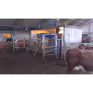VMS einveisporter