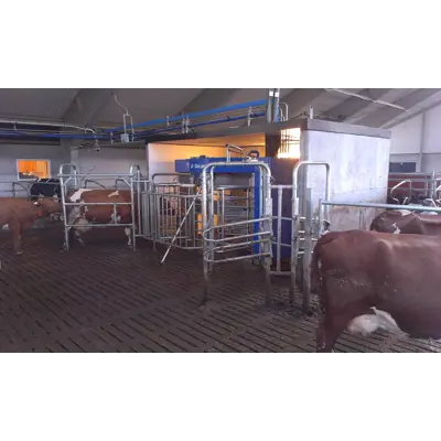 VMS einveisporter