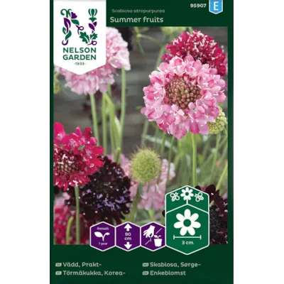 Frø sørgeskabiosa Summer Fruits