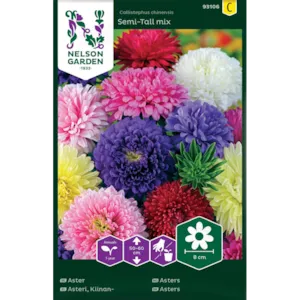 Frø asters Semi-Tall mix