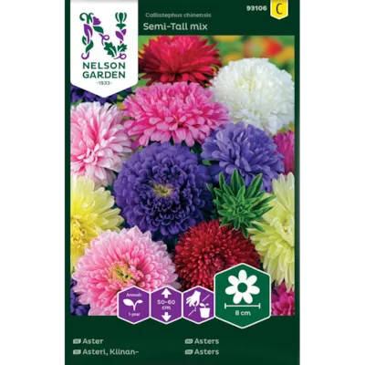 Frø asters Semi-Tall mix