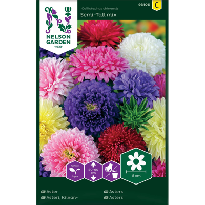 Frø asters Semi-Tall mix