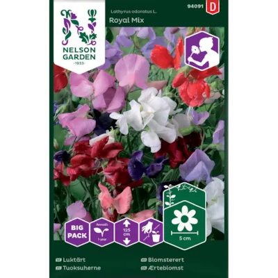 Frø blomsterert Royal Mix Big Pack