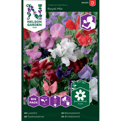 Frø blomsterert Royal Mix Big Pack