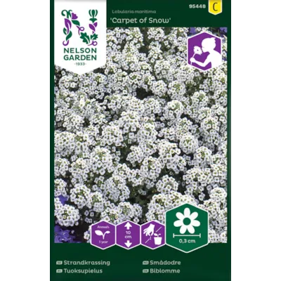 Frø smådodre Carpet of Snow