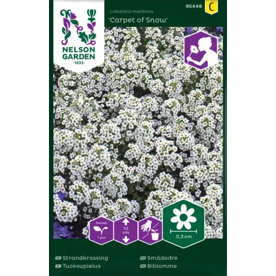 Frø smådodre Carpet of Snow