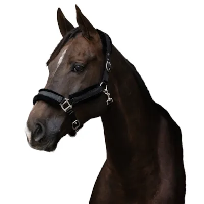 Grime med glitter svart, bilde 2