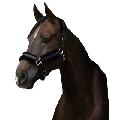 Grime med glitter svart, bilde 2