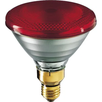 Varmepære infrarød 100W