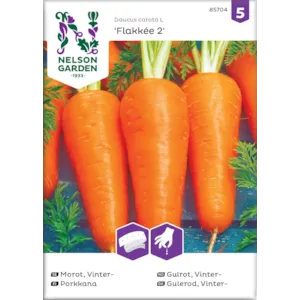 Frø vintergulrot Flakkée 2 såbånd