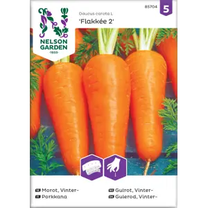 Frø vintergulrot Flakkée 2 såbånd