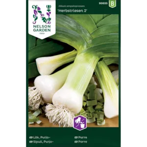 Frø purre Herbstriesen