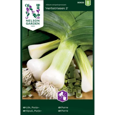 Frø purre Herbstriesen