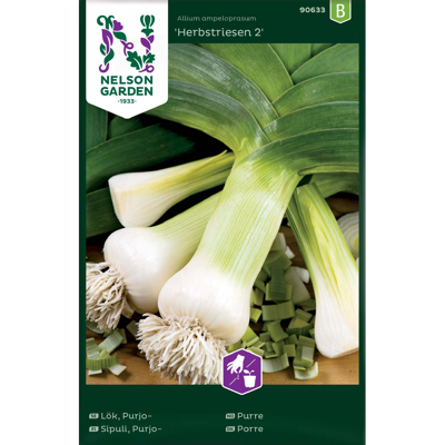 Frø purre Herbstriesen