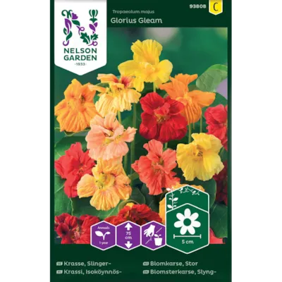 Frø blomkarse Glorius Gleam