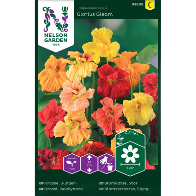 Frø blomkarse Glorius Gleam