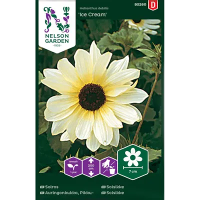 Frø solsikke Ice Cream