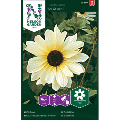 Frø solsikke Ice Cream