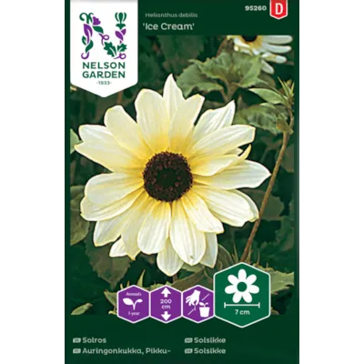 Frø solsikke Ice Cream, bilde 2