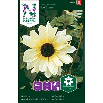 Frø solsikke Ice Cream, bilde 2